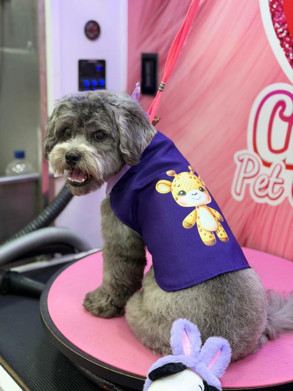 Handmade pet clothing example 4