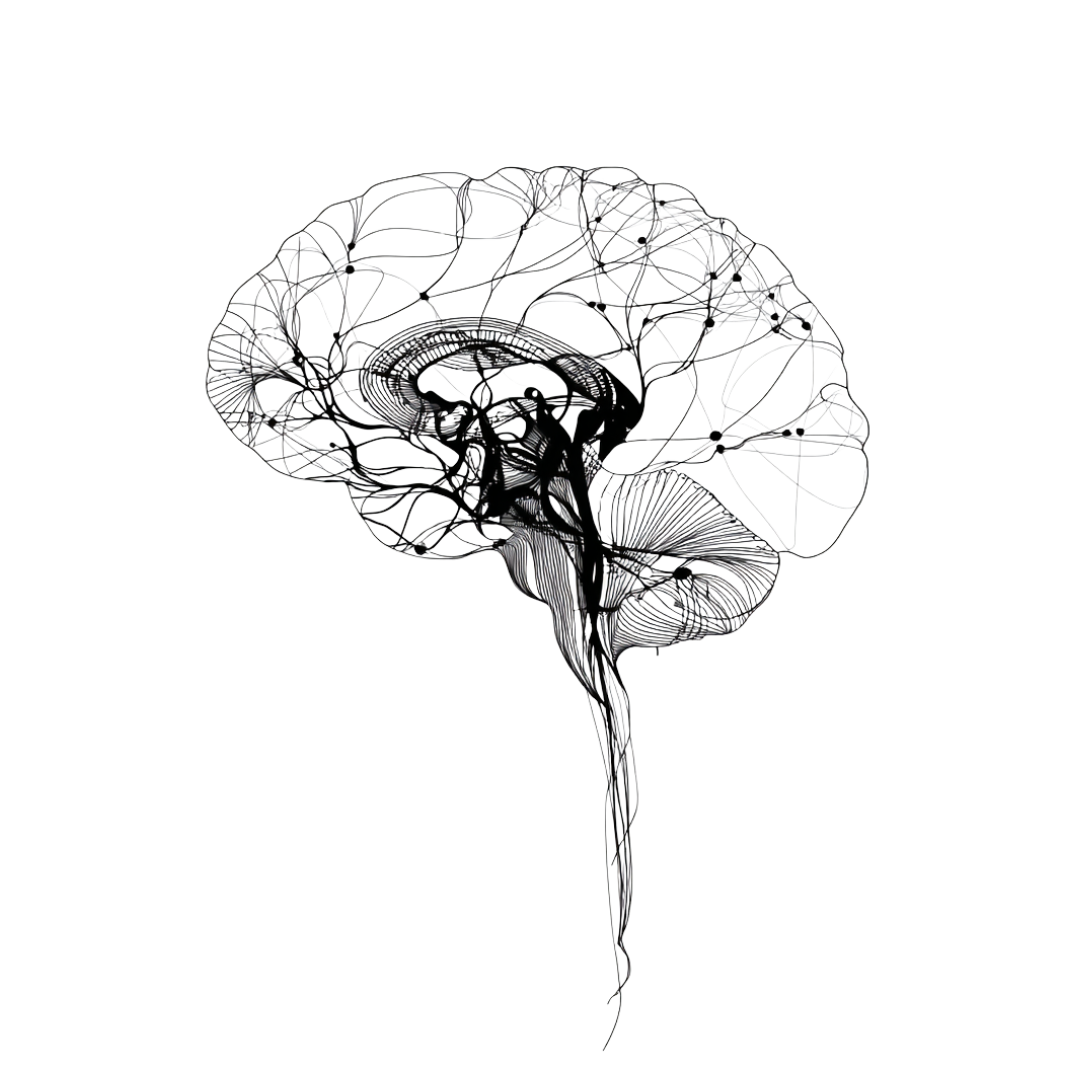 Cerebro trazado con líneas finas y nodos, ilustración del sistema REIM