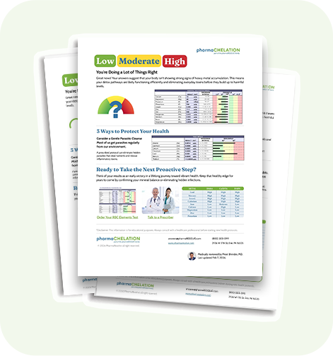 Free chelation guide report covering heavy metals HTMA testing and beneficial minerals