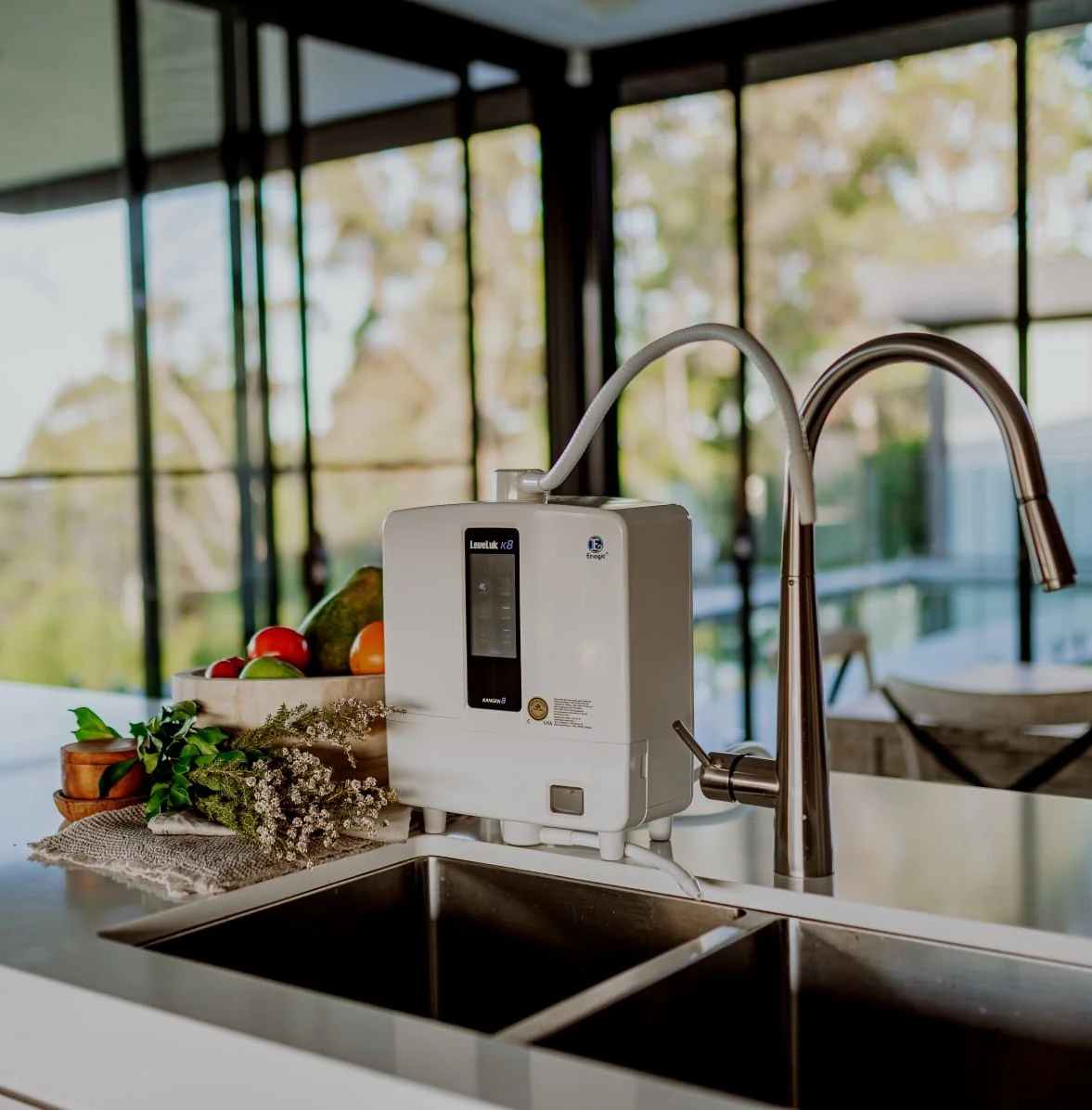 kangen water machine on counter