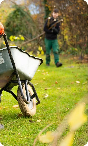 Lawn care service