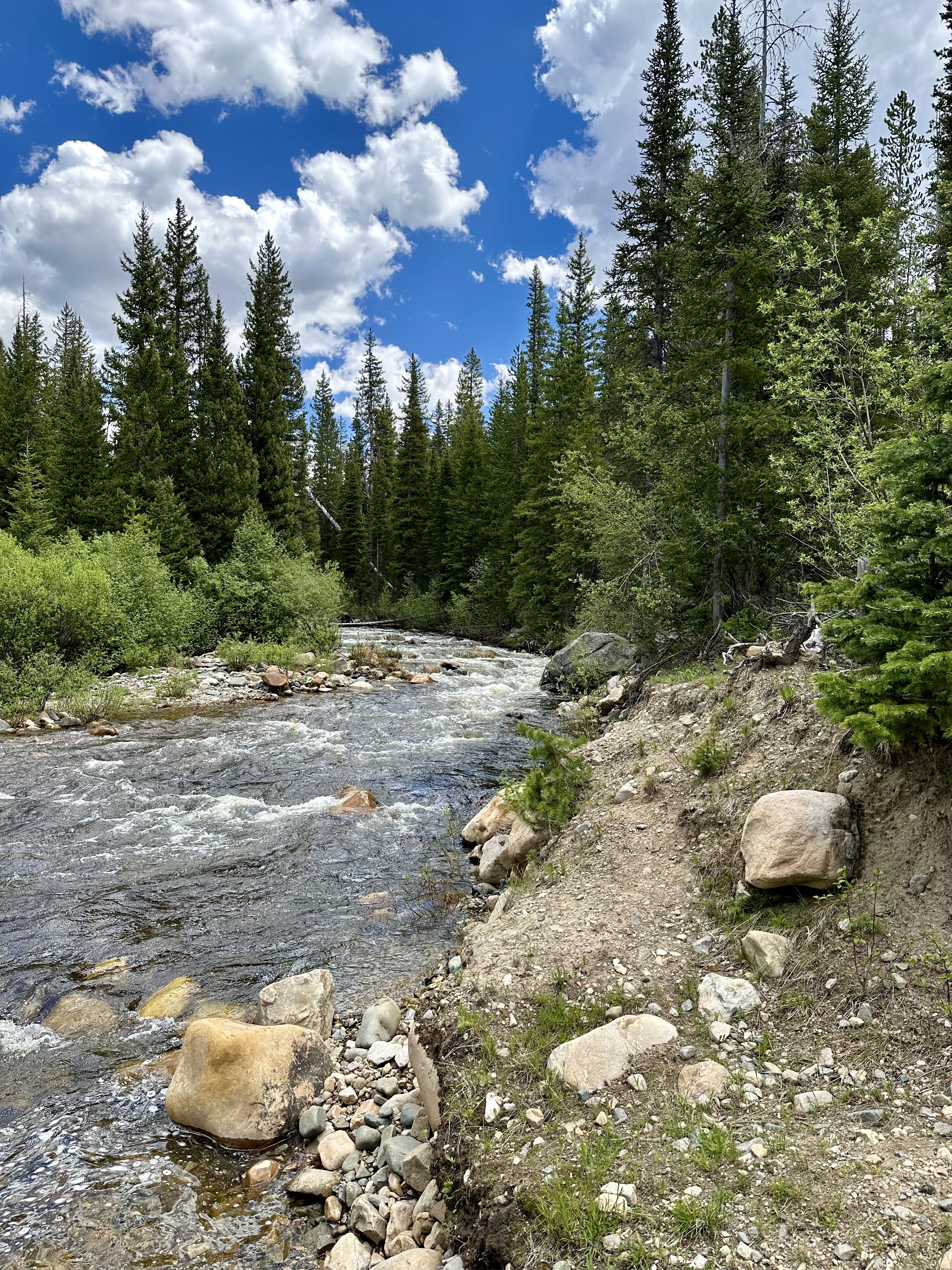 Woman thriving after menopause — outdoors in nature