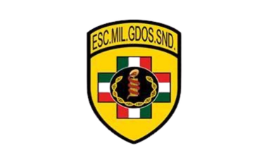 EMGS