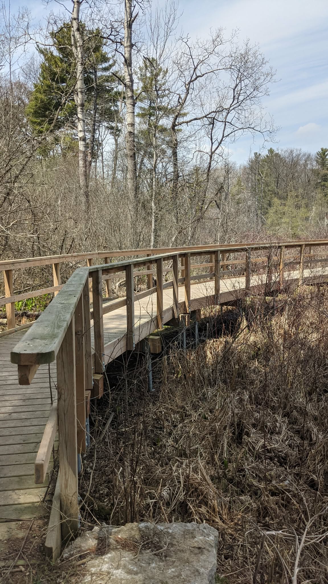 Pedestrian boardwalk foundation supported by screw piles in a swampy wetland area