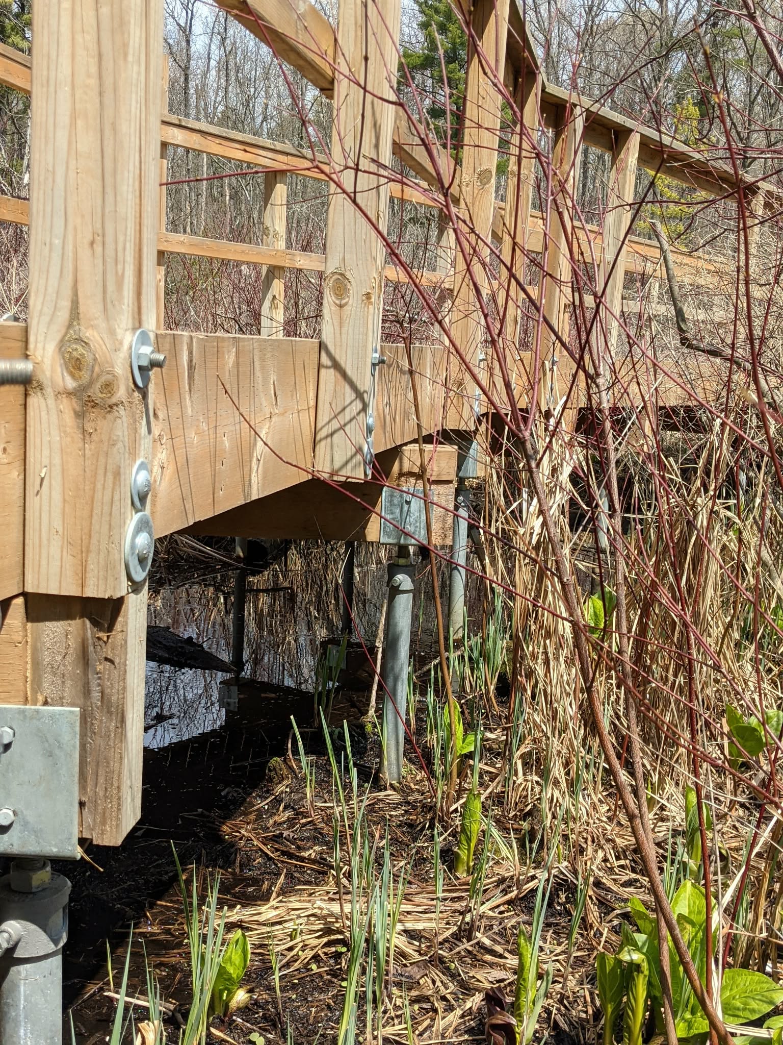 Screw pile foundation system installed for a Parks Canada lookout point boardwalk project