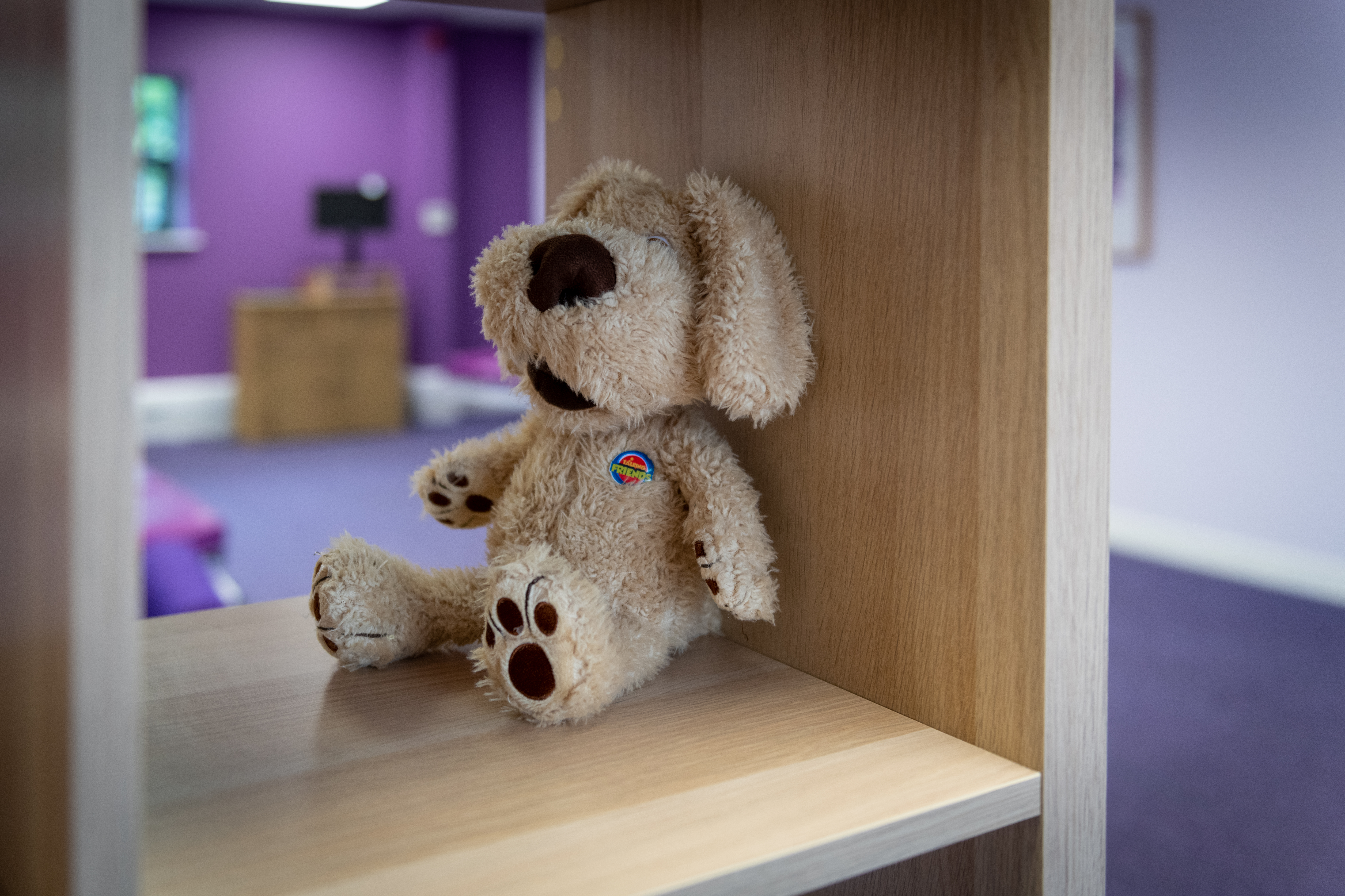 Cuddly kids toy 