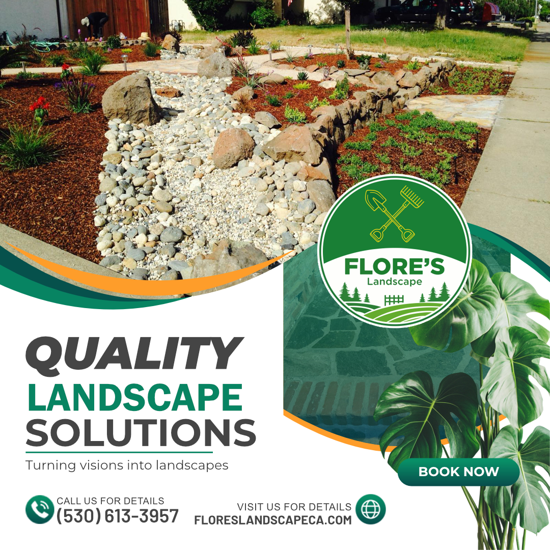 Publicidad 1 Project