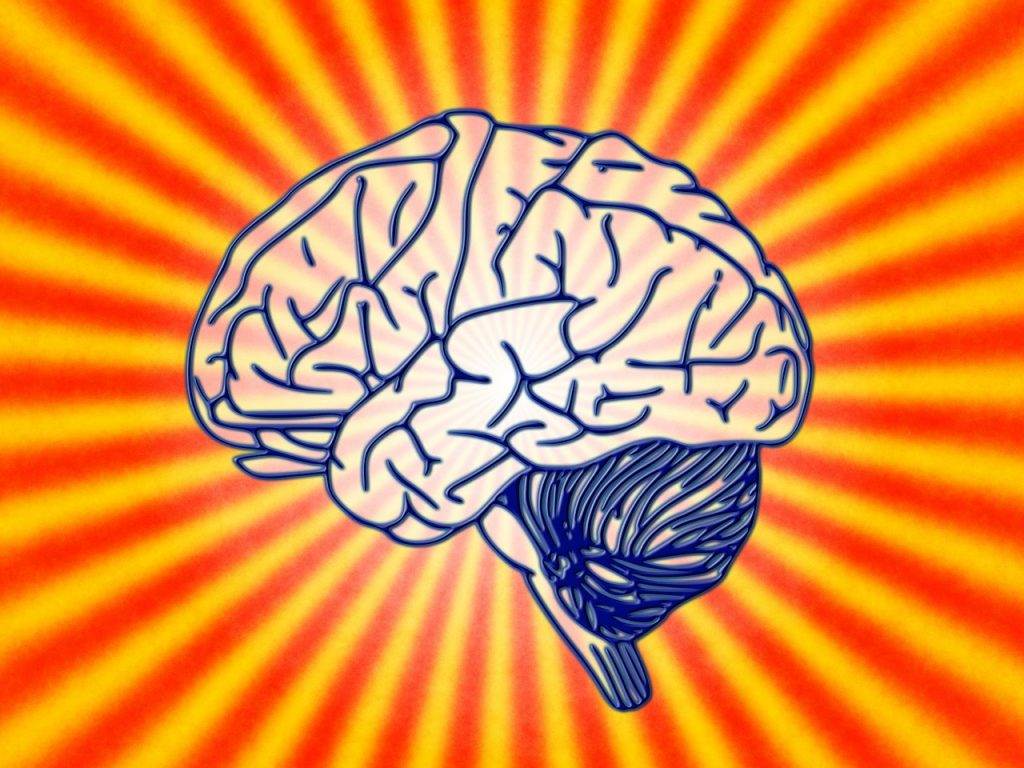 Brain illustration with sunburst