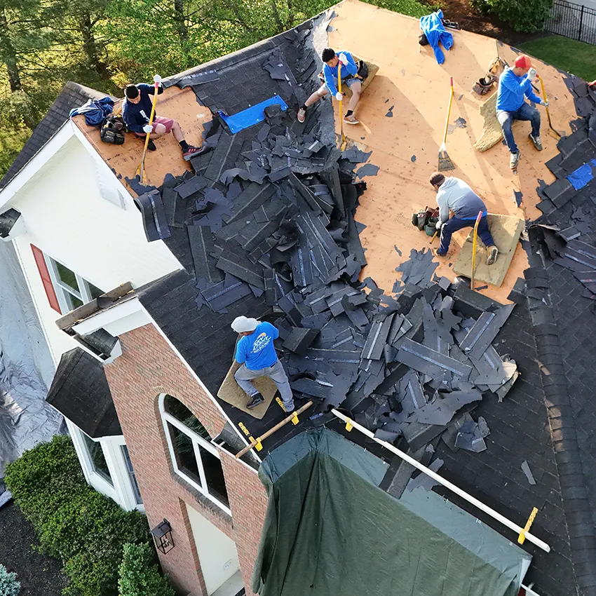 Roof inspection support from Skylight Roofing & Restoration