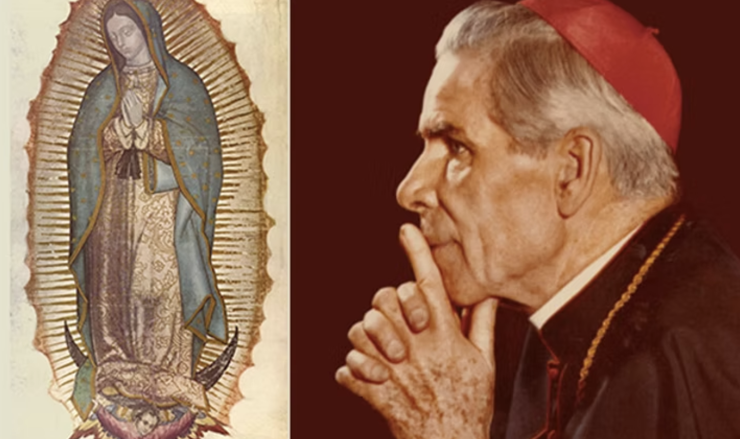 December 1 - 9 Special Novena to Venerable Fulton Sheen December 1 - 9 Special Novena to Venerable Fulton Sheen
