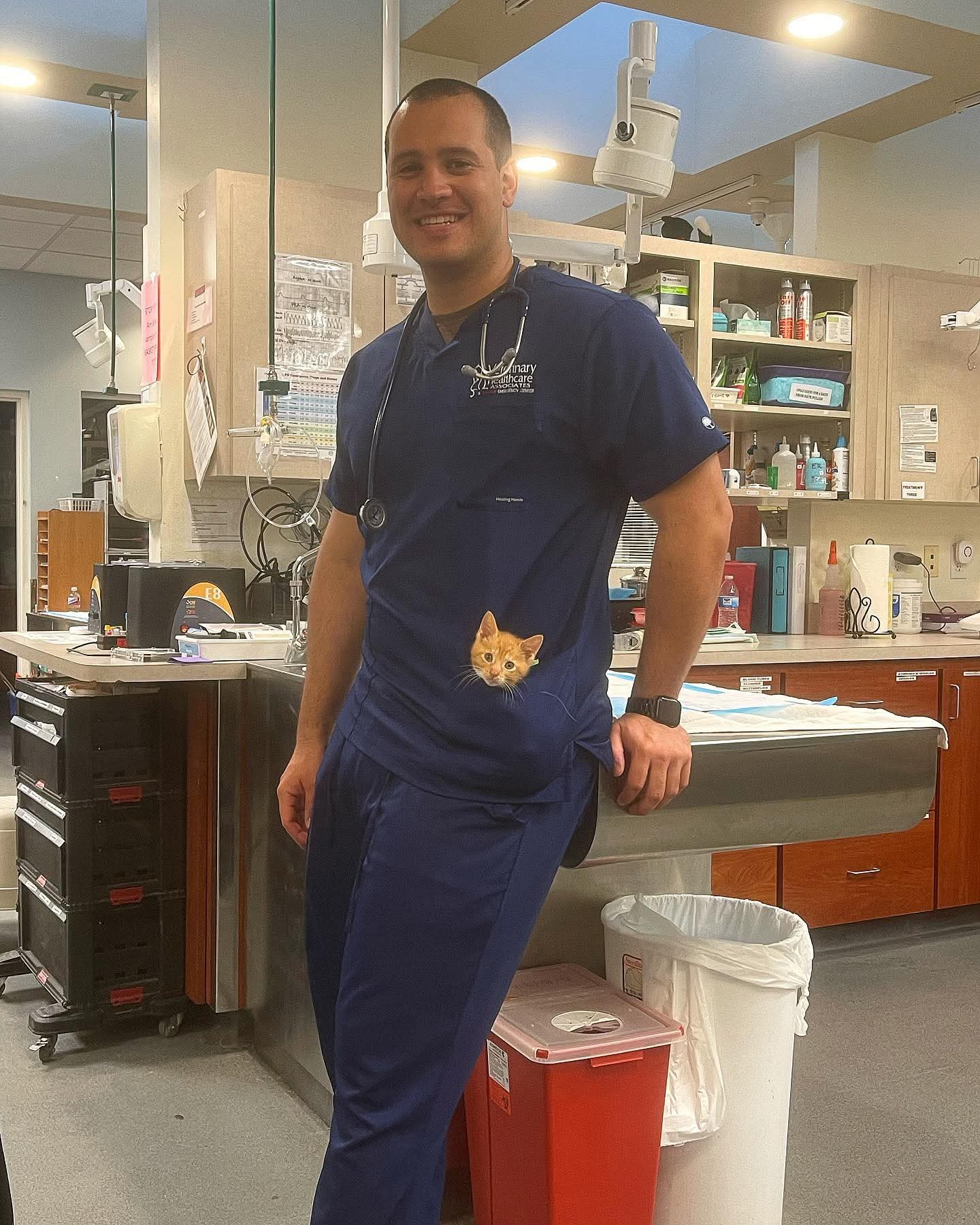 Veterinary professional in a warm, authentic clinical setting