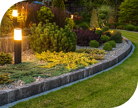 Yard maintenance in San Diego