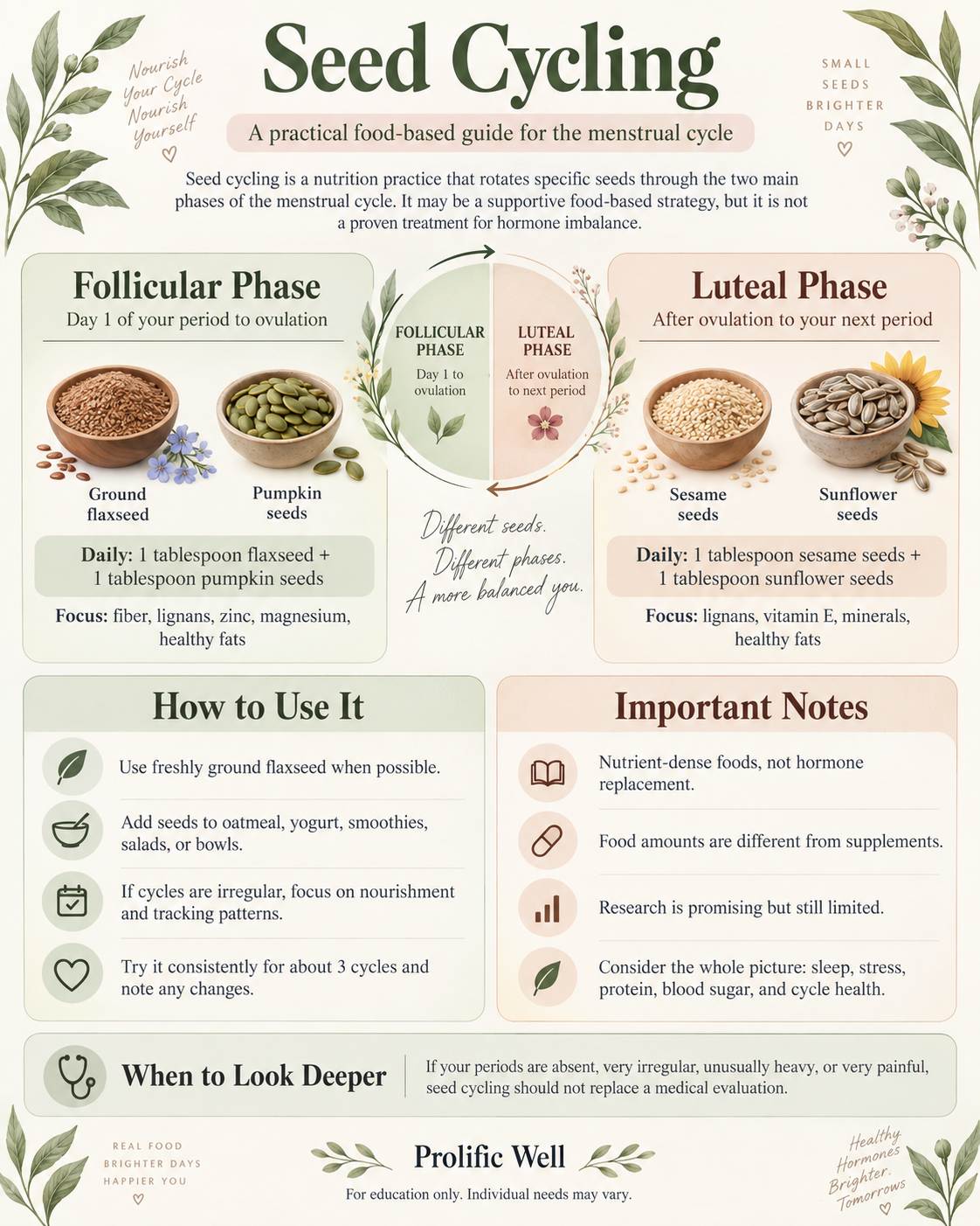 Seed cycling infographic showing ground flaxseed and pumpkin seeds during the follicular phase, and sesame and sunflower seeds during the luteal phase, with daily amounts and practical hormone health guidance. Seed cycling infographic showing ground flaxseed and pumpkin seeds during the follicular phase, and sesame and sunflower seeds during the luteal phase, with daily amounts and practical hormone health guidance.