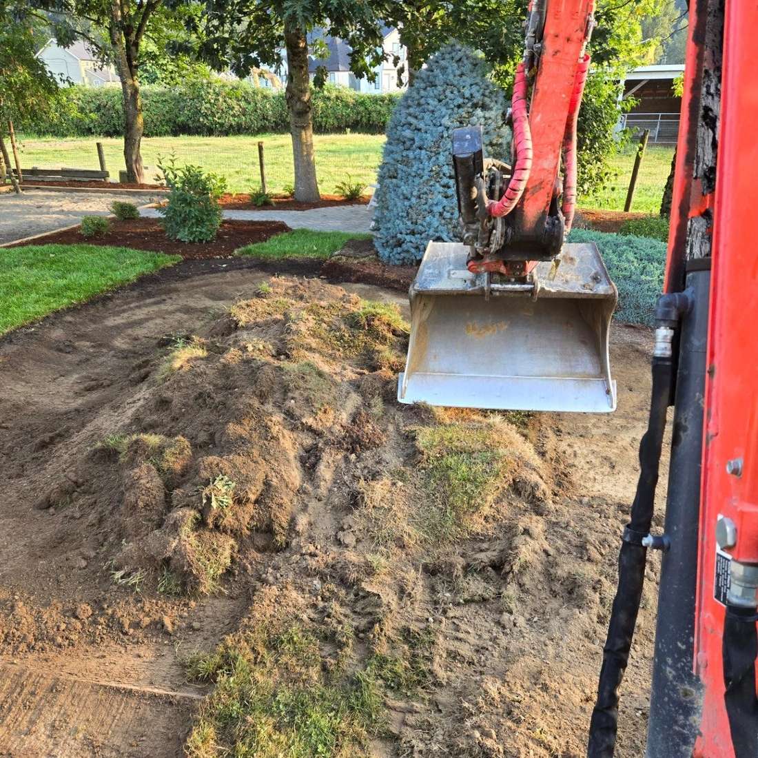 Landscape project