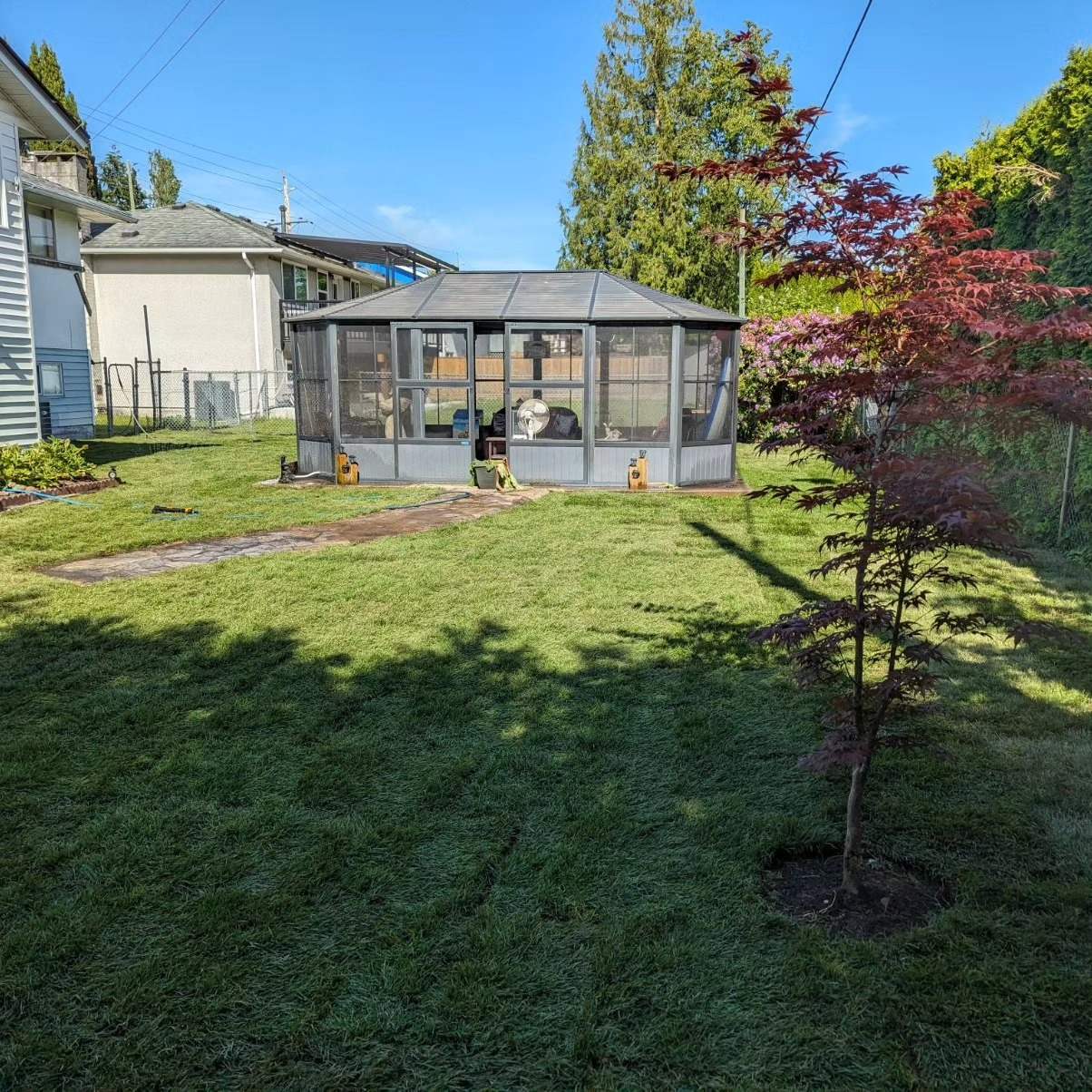 Pet-friendly turf with drainage