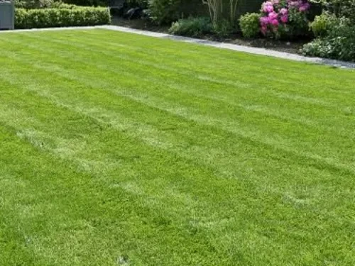 Watson Chapel Lawn Edging