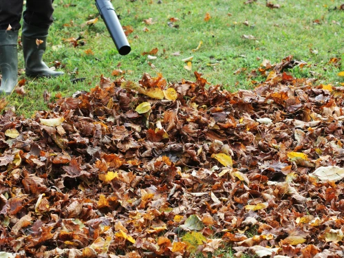Yard Cleanups in Pine Bluff