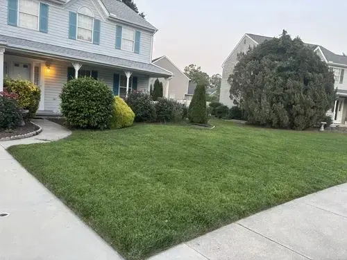 Hedge and Shrub Trimming Pine Bluff