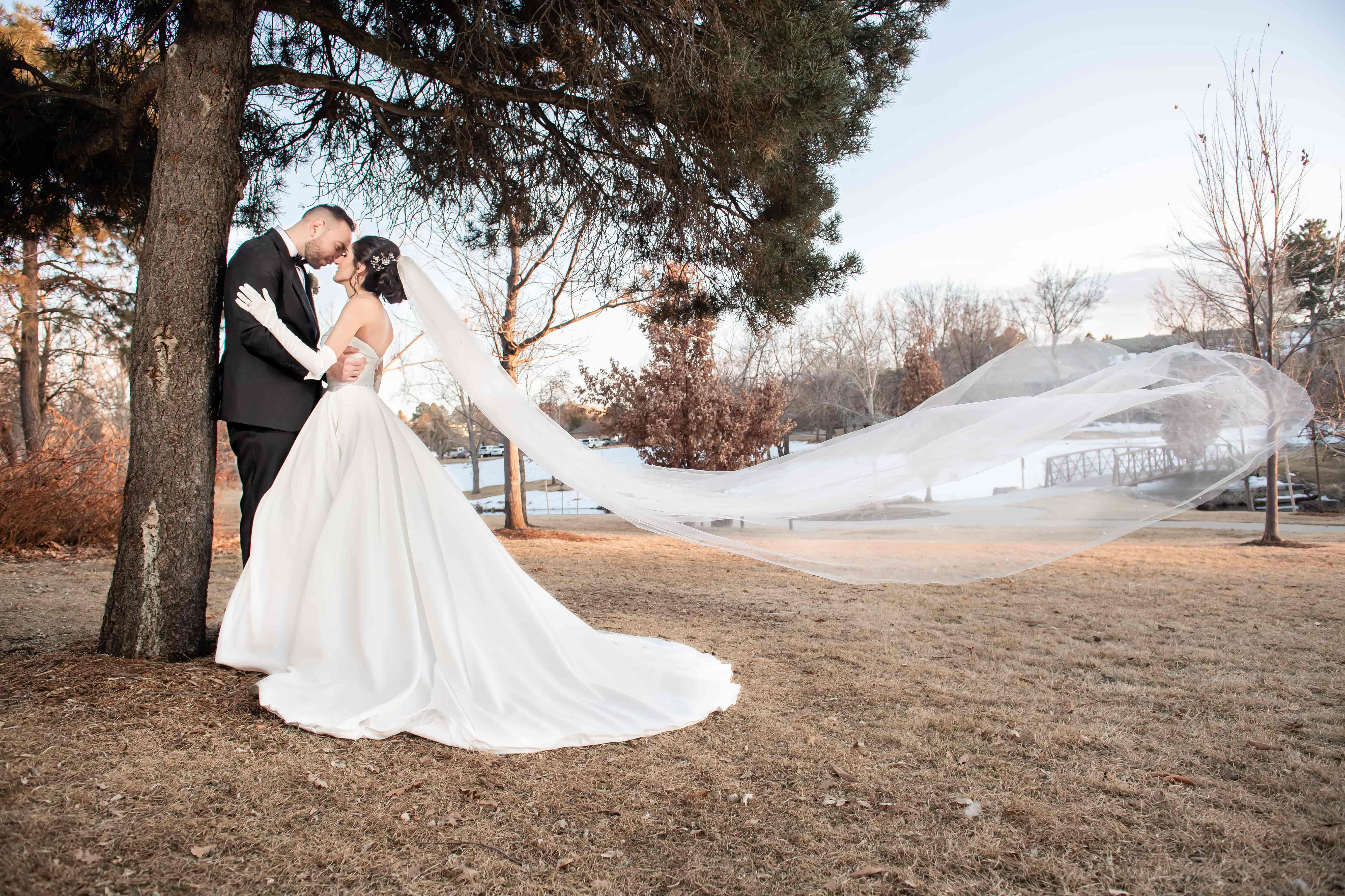 LightFusion Photography