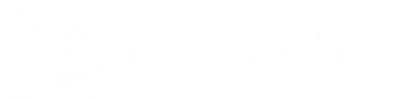 Navasset Logo