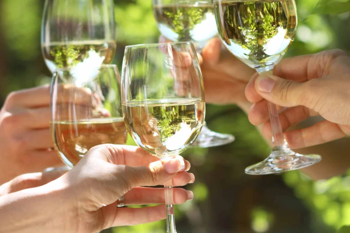 Bars on Wheels guests toasting wine glasses during outdoor celebration with mobile bar service
