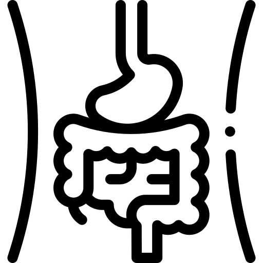 Digestive patterns icon