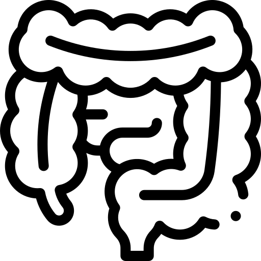 Gut and immune health support icon