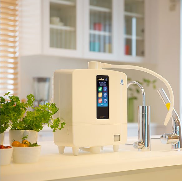 Hydrogenated water system for clean antioxidant-rich water