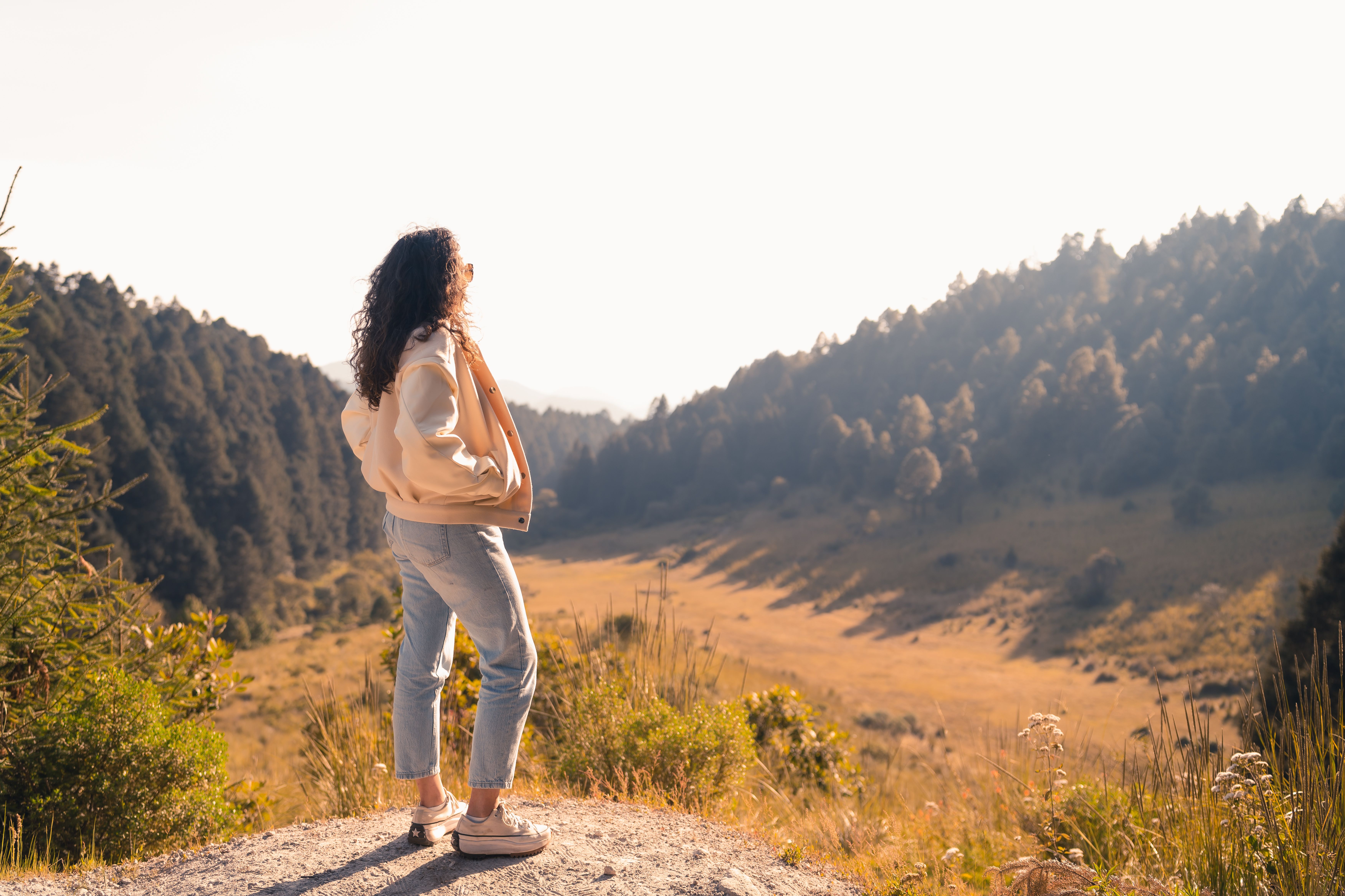 A woman standing on a hillside overlooking a sunlit forest valley