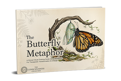 The Butterfly