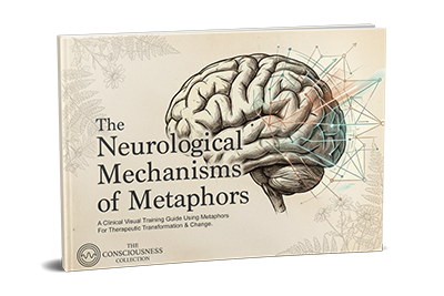 Neurological Mechanisms of Metaphors bonus guide