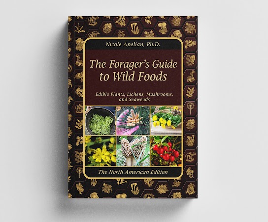 The Forager's Guide to Wild Foods - $37 Only