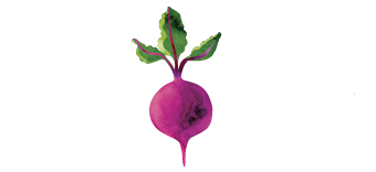 Whole Health RD logo