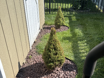 Hedge Trimming in Limerick