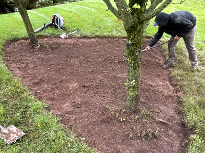 Weeding in Limerick