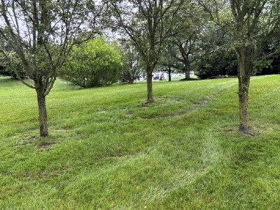 Fertilizing in Limerick