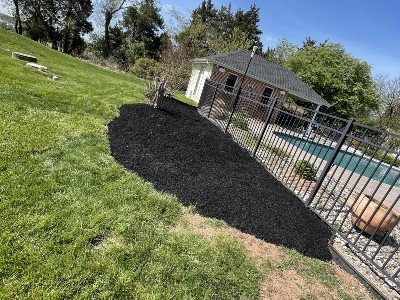 Fertilizing Limerick