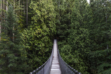 North Vancouver Cleaning