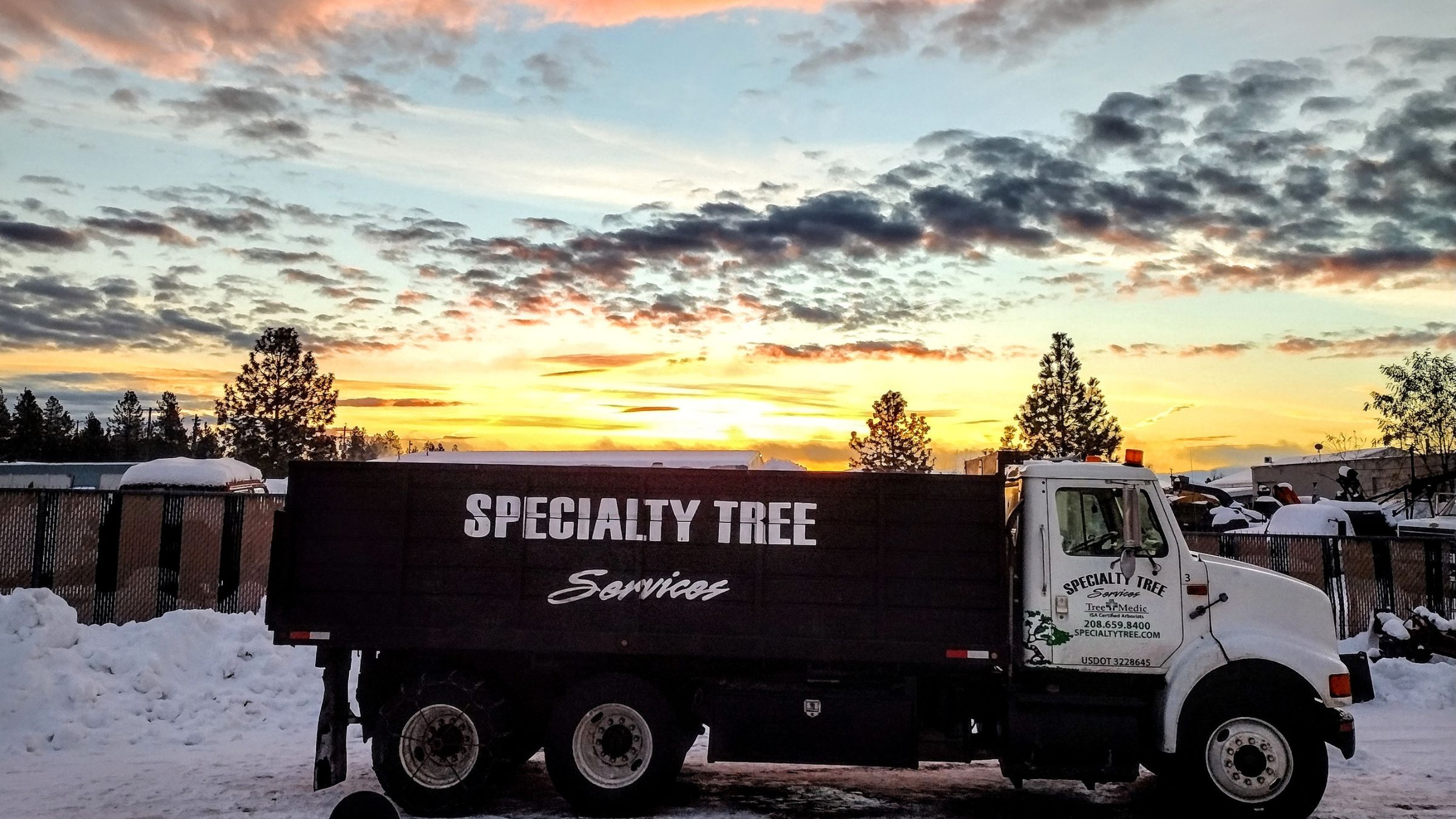 Residential & Commercial Tree Care Services