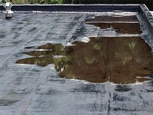 {{ custom_values.service_3 }} in {{custom_values.area_2})