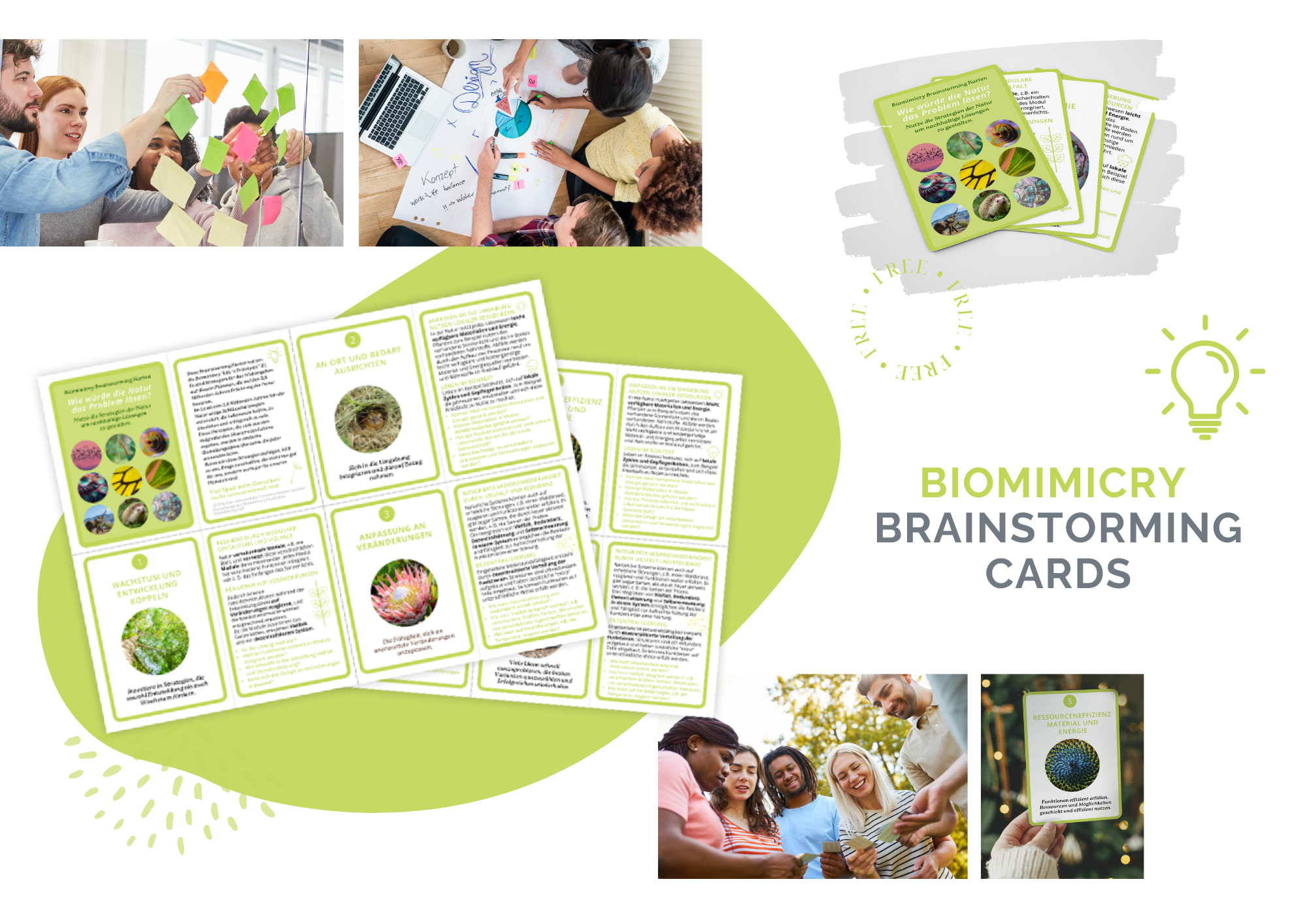 Download Biomimicry Brainstorming Cards