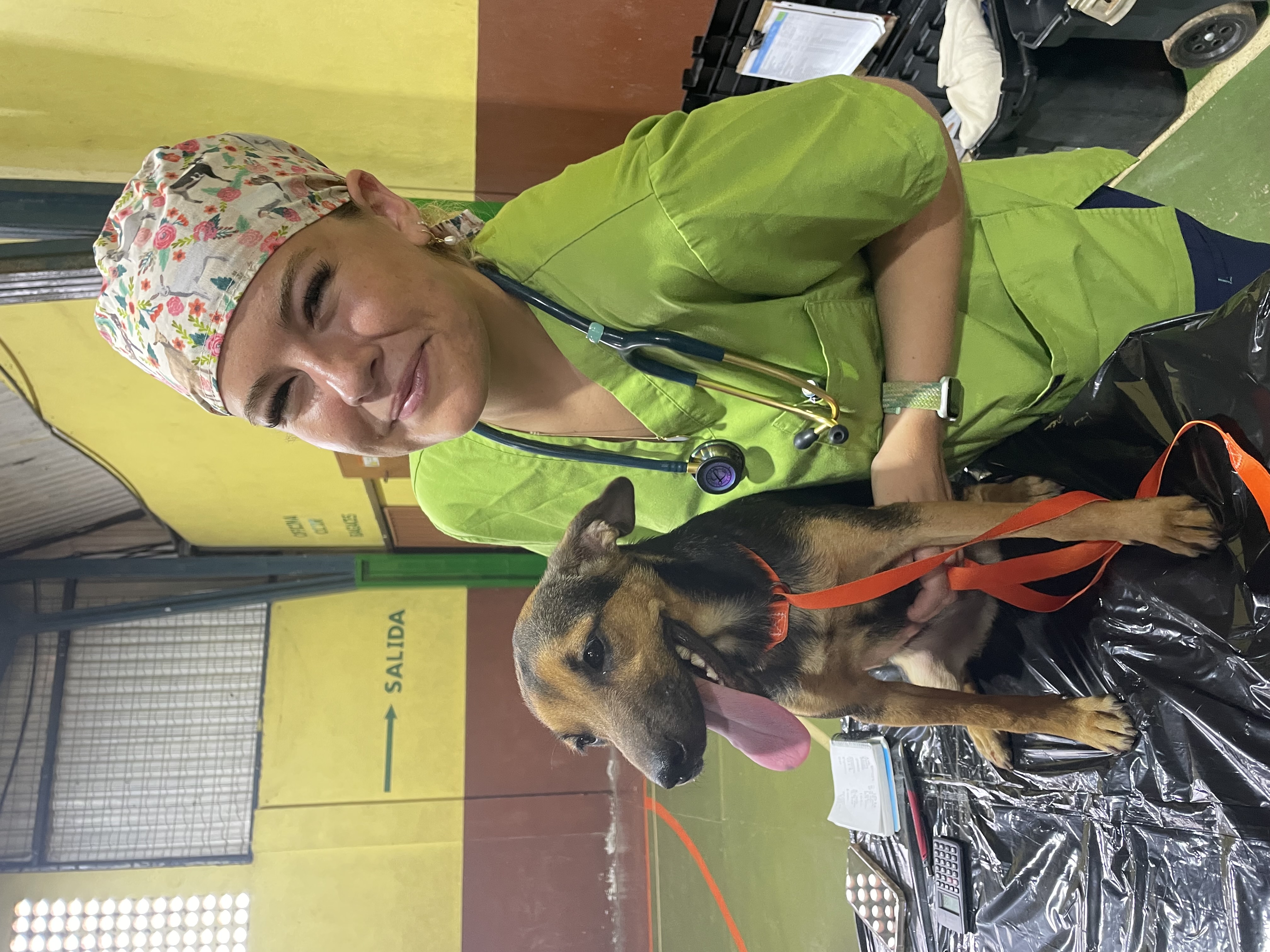Lily then and now, from childhood animal lover to veterinary school student