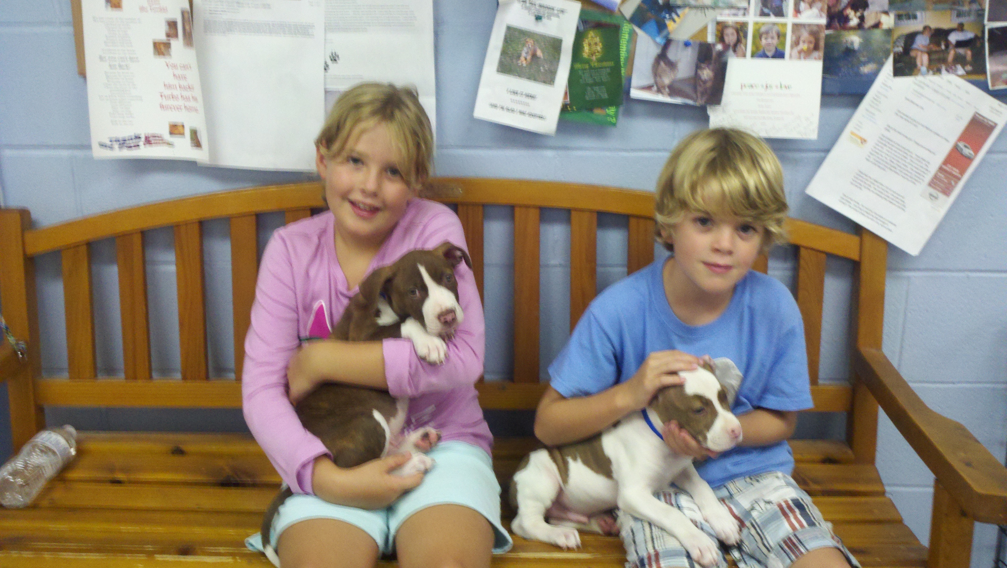 Lily and Dillon at Rehoboth Beach Library Reading to the Dogs program
