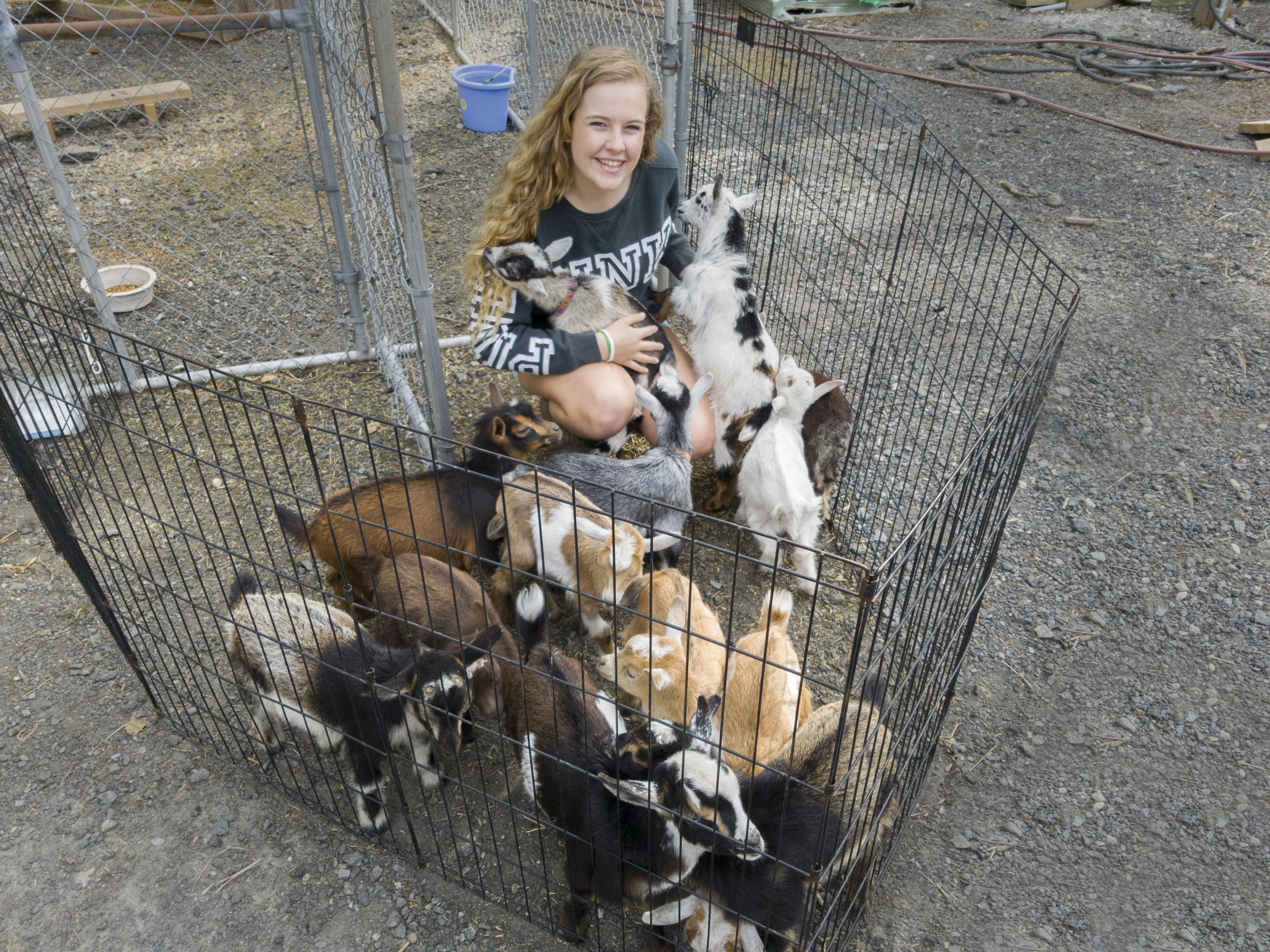 Lily showing goats or working with animals during high school