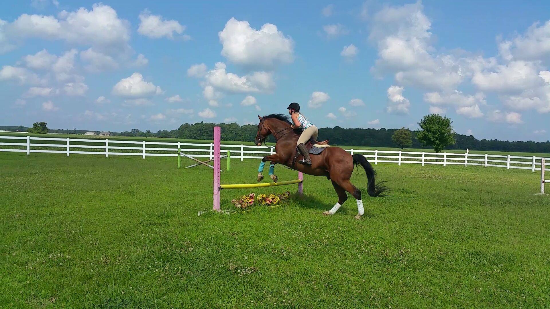 Lily horseback riding during her equestrian years