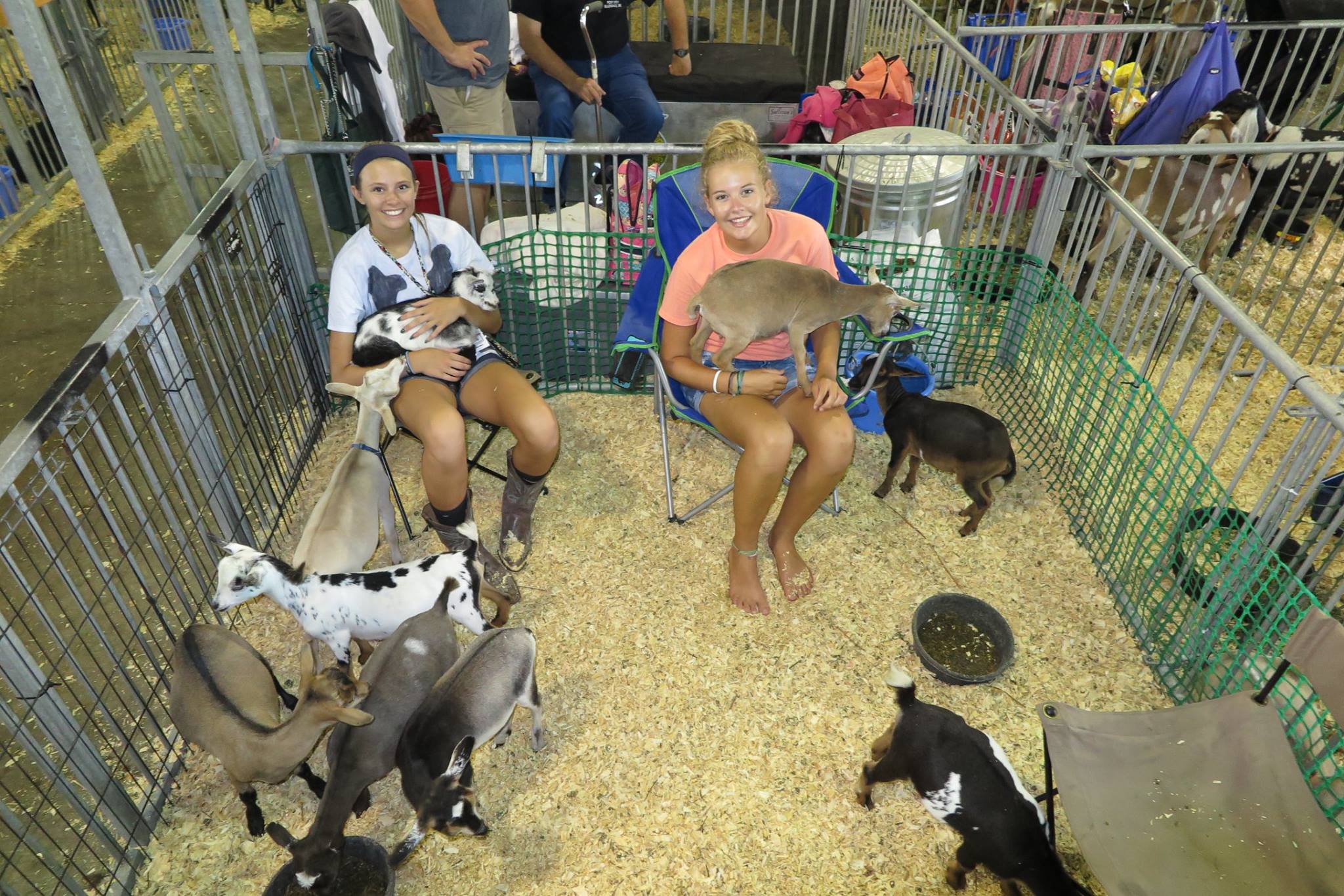 Lily at the Delaware State Fair showing animals