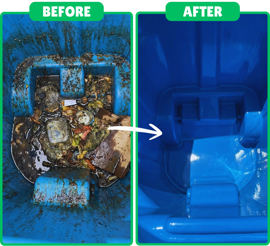 Professional Bin Cleaning - Before and After