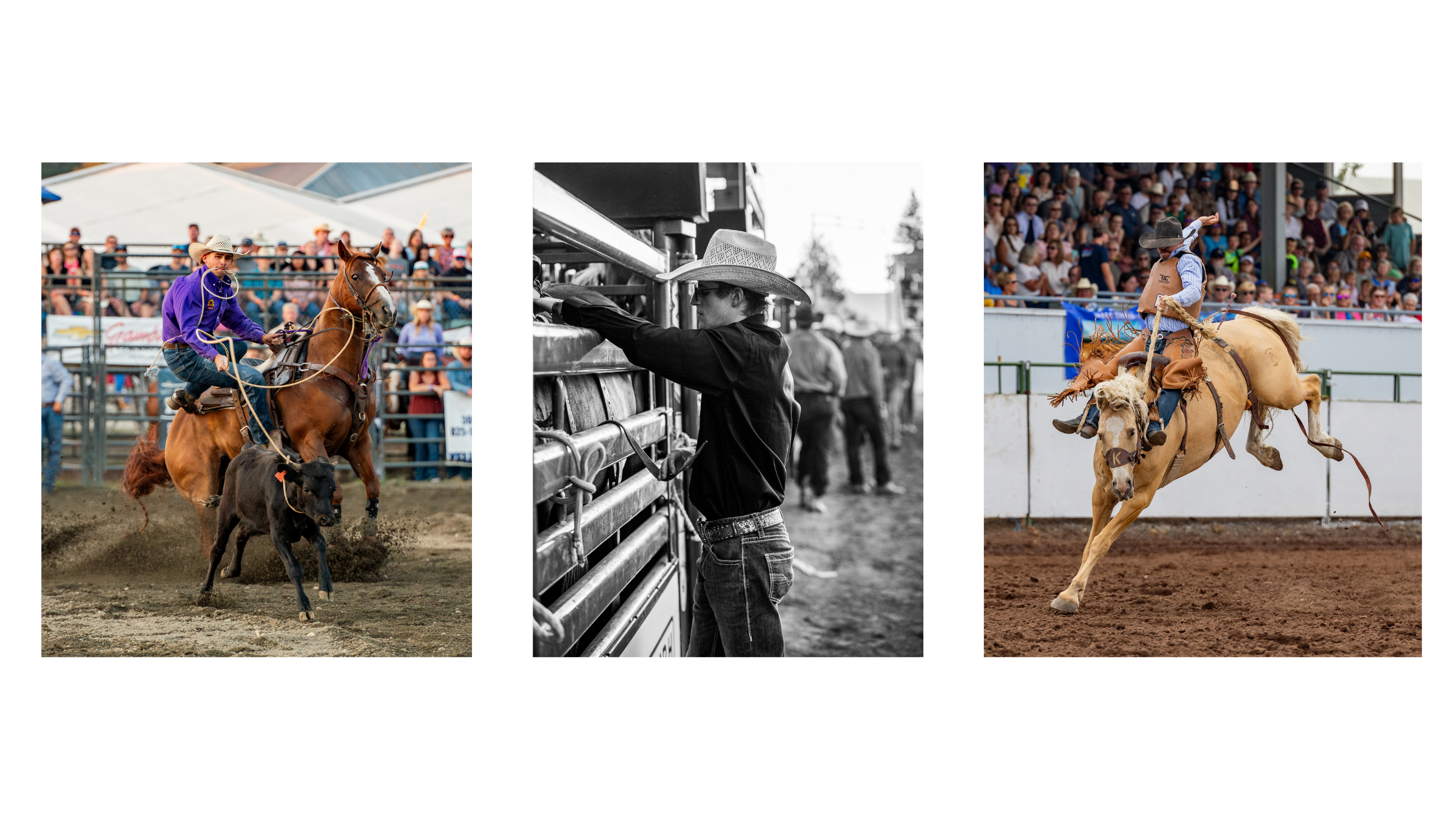 Rodeo photography portfolio showing action and storytelling images