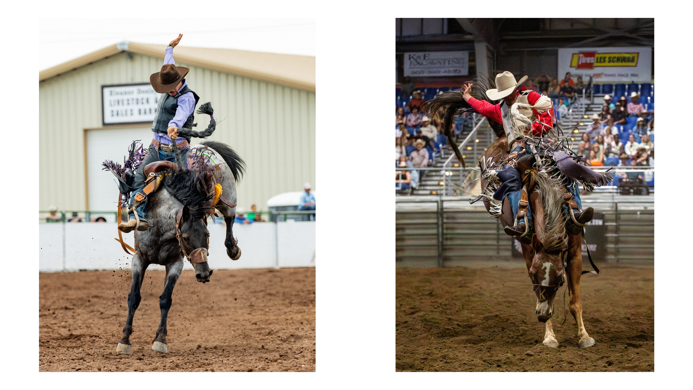 Outdoor and indoor rodeo photography lighting comparison Outdoor and indoor rodeo photography lighting comparison
