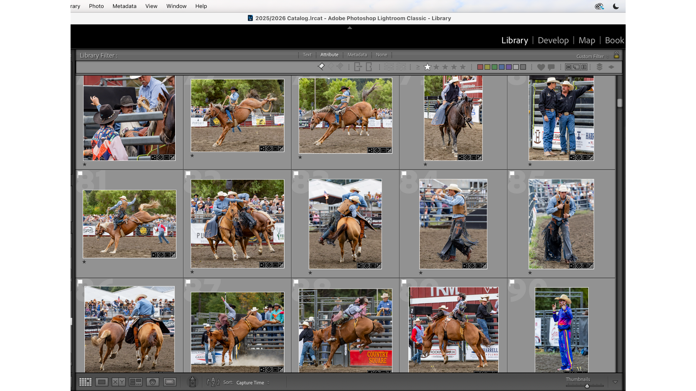 Consistently edited rodeo photographs in Lightroom grid view